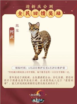天龙八部私服战无双